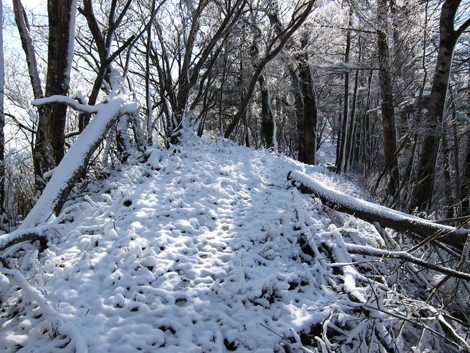20191129hike (223)